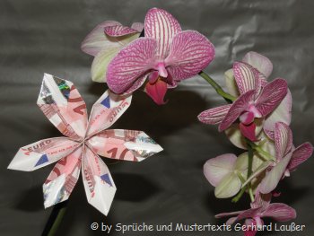 originelle Geldgeschenke Sprüche für Hochzeit